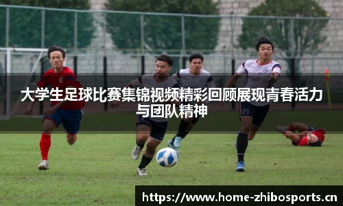 智博体育官方网站